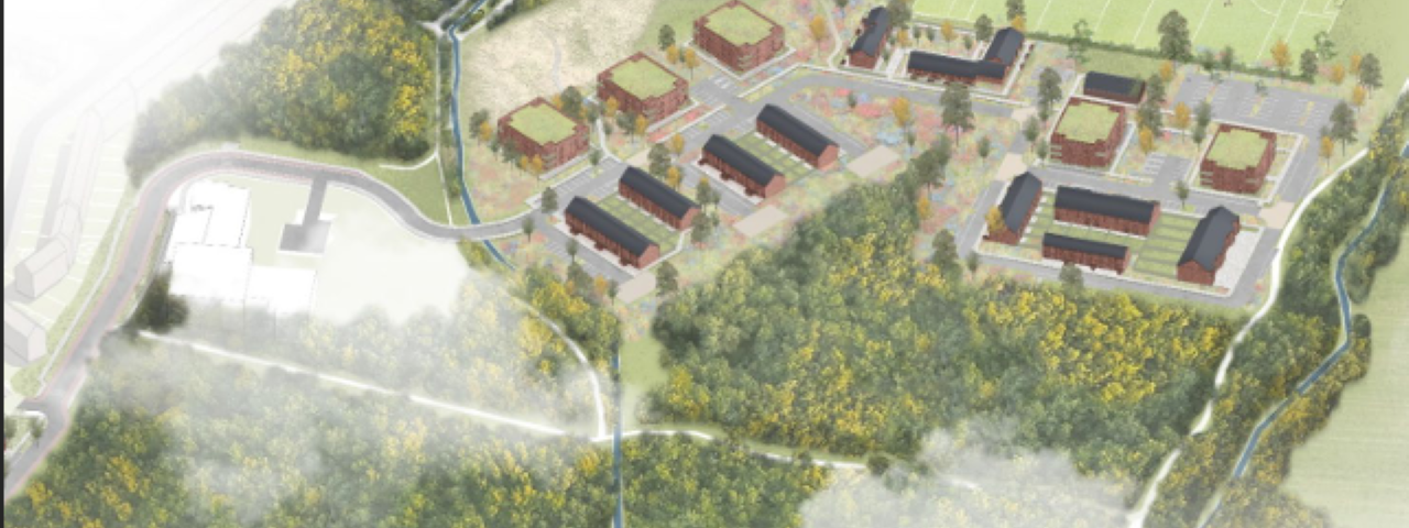 Survey on the proposal for plans relating to a new residential and community development on lands adjacent to Rathcoole Park